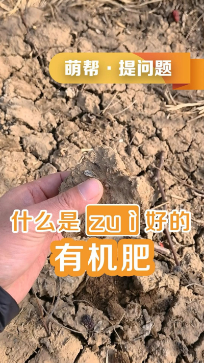 什么是最好的有机肥