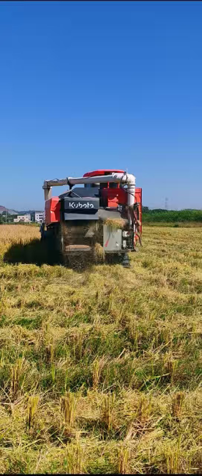 惠州基地，无人拖拉机收水稻了。