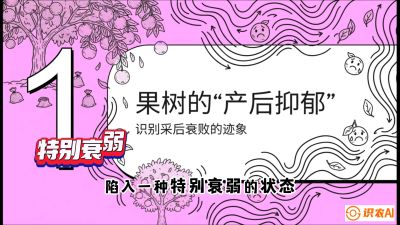第2节：【冬肥策略】采后&ldquo;月子肥&rdquo;：大小年的精准干预术，课程：《柑橘底肥&ldquo;翻身账&rdquo;：从改土到高产的实战全书》