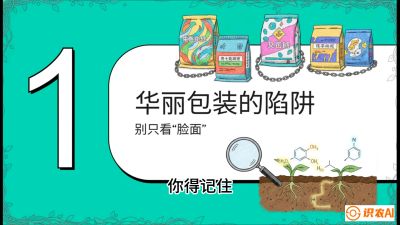 第4节：【黄金配方】底肥里的&ldquo;铁三角&rdquo;与&ldquo;微量雷区&rdquo;课程：《柑橘底肥&ldquo;翻身账&rdquo;：从改土到高产的实战全书》