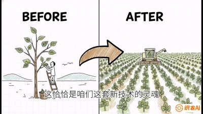 第02节：把树变成草&mdash;&mdash;&ldquo;草本化密植&rdquo;技术，课程：《桑海淘金：桑树高产与蚕桑安全进阶实战课》