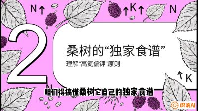 第04节：地下核动力&mdash;&mdash;桑树专用水肥一体化配方，课程：《桑海淘金：桑树高产与蚕桑安全进阶实战课》