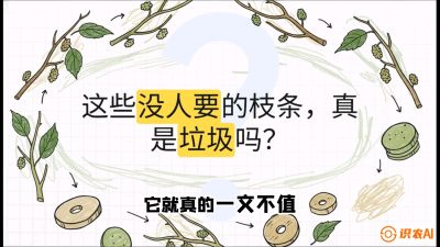 第12节：变废为宝&mdash;&mdash;循环农业实操，课程：《桑海淘金：桑树高产与蚕桑安全进阶实战课》