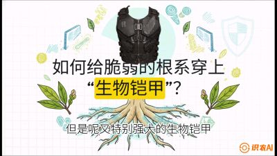 第三节：国产榴莲突围战：根系堡垒，菌根微生态构建与黄金定植窗口，课程：《国产榴莲突围战：从泰国经验到中国实操的8堂必修课（高阶实战版）》
