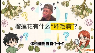 第六节：榴莲的午夜战事，夜间授粉战与花果期避雨策略，课程：《国产榴莲突围战：从泰国经验到中国实操的8堂必修课（高阶实战版）》