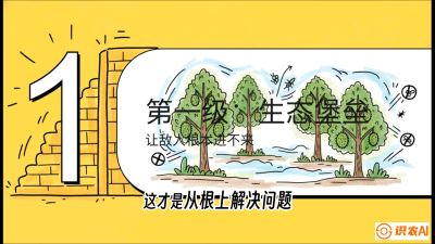 第七节：榴莲防御战：病虫害三级立体防控，疫霉菌与虫害的立体封锁线，课程：《国产榴莲突围战：从泰国经验到中国实操的8堂必修课（高阶实战版）》