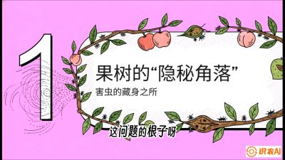第3节：无人机专治&ldquo;打不透&rdquo;&mdash;&mdash;果树与高杆作物的穿透技巧，课程：《无人机植保搞钱必修课：从&ldquo;瞎飞&rdquo;到&ldquo;懂行&rdquo;的6步进阶》