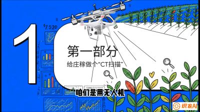 第5节：无人机也能&ldquo;看病抓药&rdquo;&mdash;&mdash;处方图与变量施肥入门，课程：《无人机植保搞钱必修课：从&ldquo;瞎飞&rdquo;到&ldquo;懂行&rdquo;的6步进阶》