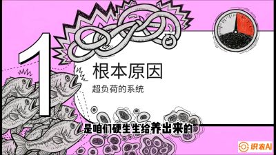 第三节：【爆款单品&middot;加州鲈】从&ldquo;玻璃鱼&rdquo;到&ldquo;摇钱树&rdquo;的通关秘籍，课程：《黄金鳞甲：2025中国淡水鱼高效养殖实战营》