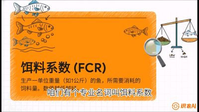 第五节：【高端单品&middot;鳜鱼】&ldquo;饲料鳜&rdquo;技术：打破吃活饵的高成本魔咒，课程：《黄金鳞甲：2025中国淡水鱼高效养殖实战营》