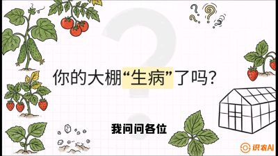 第2节（解毒篇）： 大棚里的&ldquo;红白绿&rdquo;警报&mdash;&mdash;读懂土壤盐渍化的求救信号，课程：《揭秘土壤的秘密：让土地帮你赚钱》#识农AI