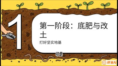 第6节（统筹篇）： 省钱又增产的&ldquo;黄金配比&rdquo;&mdash;&mdash;不同作物全年的养土实操方案，课程：《揭秘土壤的秘密：让土地帮你赚钱》#识农AI