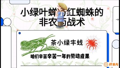第03节（虫害篇）：看不见的吸血鬼：小绿叶蝉与红蜘蛛的&ldquo;非农药&rdquo;团灭战术（抗性治理），课程：《茶金时代：从&ldquo;看天吃饭&rdquo;到&ldquo;精准控局&rdquo;的茶叶高产提质实战课》