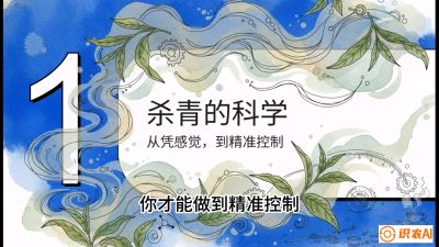第05节（加工篇）：决胜2分钟：用&ldquo;数字温控&rdquo;破解杀青不匀，复刻大师级手工口感，课程：《茶金时代：从&ldquo;看天吃饭&rdquo;到&ldquo;精准控局&rdquo;的茶叶高产提质实战课》