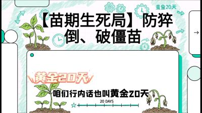 第2节：【苗期生死局】防猝倒、破僵苗，决定后期产量的&ldquo;黄金20天&rdquo;，课程：《辣椒种植实战特训营，从工业辣椒到精品小米辣，教你如何把&ldquo;草&rdquo;种成&ldquo;金&rdquo;》