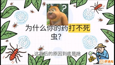 第4节：【虫害歼灭战】打不死的蓟马、隐形的茶黄螨：抗性时代的&ldquo;混配绝杀&rdquo;，课程：《辣椒种植实战特训营，从工业辣椒到精品小米辣，教你如何把&ldquo;草&rdquo;种成&ldquo;金&rdquo;》