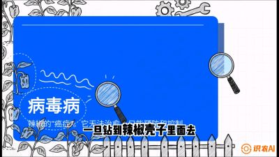 第5节：【病毒病阻击】辣椒的&ldquo;癌症&rdquo;怎么治？从&ldquo;绝收恐慌&rdquo;到&ldquo;带毒生产&rdquo;的逆转术，课程：《辣椒种植实战特训营，从工业辣椒到精品小米辣，教你如何把&ldquo;草&rdquo;种成&ldquo;金&rdquo;》