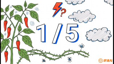 第6节：【花果爆发术】落花落果的五大元凶，与&ldquo;三喷一保&rdquo;坐果黑科技，课程：《辣椒种植实战特训营，从工业辣椒到精品小米辣，教你如何把&ldquo;草&rdquo;种成&ldquo;金&rdquo;》