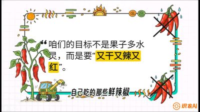 第7节：【工业辣椒专场】追求极致辣度！干物质提升与机械化采收的&ldquo;催红秘籍&rdquo;，课程：《辣椒种植实战特训营，从工业辣椒到精品小米辣，教你如何把&ldquo;草&rdquo;种成&ldquo;金&rdquo;》