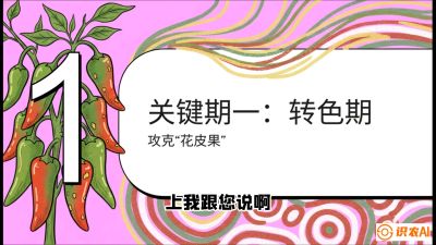 第8节：【小米辣线椒专场】颜值即正义！防花皮、防炭疽，打造收购商抢着要的&ldquo;精品果&rdquo;，课程：《辣椒种植实战特训营，从工业辣椒到精品小米辣，教你如何把&ldquo;草&rdquo;种成&ldquo;金&rdquo;》