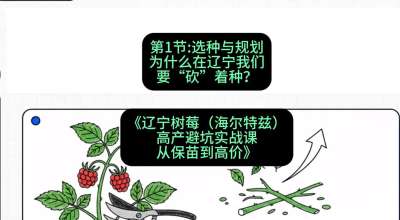 第一节： 选种与规划&mdash;&mdash;为什么在辽宁我们要&ldquo;砍&rdquo;着种？，课程：《辽宁树莓（海尔特兹）高产避坑实战课：从保苗到高价》