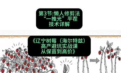 第三节： 懒人修剪法&mdash;&mdash;&ldquo;一推光&rdquo;平茬技术详解，课程：《辽宁树莓（海尔特兹）高产避坑实战课：从保苗到高价》