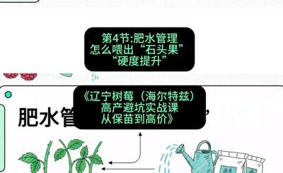 第四节： 肥水管理&mdash;&mdash;怎么喂出&ldquo;石头果&rdquo;（硬度提升），课程：《辽宁树莓（海尔特兹）高产避坑实战课：从保苗到高价》