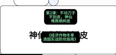 第2节：【物理手段】不动刀子不刮皮，神仙难救病树皮，课程：《经济作物冬季清园&middot;实战防坑指南》#识农AI