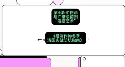 第4节：【替代方案】矿物油与广谱杀菌剂的&ldquo;混搭艺术&rdquo;，课程：《经济作物冬季清园&middot;实战防坑指南》#识农AI