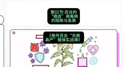 第02节：百合的&ldquo;癌症&rdquo;&mdash;&mdash;病毒病的阻断与急救，课程：《卷丹百合&ldquo;无病高产&rdquo;植保实战课》#识农AI