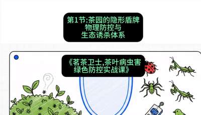 第01节：茶园的&ldquo;隐形盾牌&rdquo;&mdash;&mdash;物理防控与生态诱杀体系，课程：《茗茶卫士&mdash;&mdash;茶叶病虫害绿色防控实战课》#识农AI