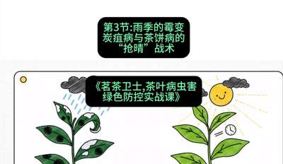 第03节：雨季的霉变&mdash;&mdash;炭疽病与茶饼病的&ldquo;抢晴&rdquo;战术，课程：《茗茶卫士&mdash;&mdash;茶叶病虫害绿色防控实战课》#识农AI