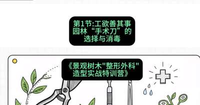 第01节：工欲善其事&mdash;&mdash;园林&ldquo;手术刀&rdquo;的选择与消毒，课程：《景观树木&ldquo;整形外科&rdquo;造型实战特训营》#识农AI