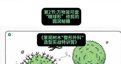 第02节：万物皆可盘&mdash;&mdash;&ldquo;精球形&rdquo;修剪的圆润秘籍，课程：《景观树木&ldquo;整形外科&rdquo;造型实战特训营》#识农AI