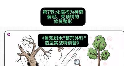 第07节：化腐朽为神奇&mdash;&mdash;偏冠、秃顶树的修复整形，课程：《景观树木&ldquo;整形外科&rdquo;造型实战特训营》#识农AI