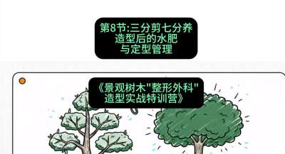 第08节：三分剪七分养&mdash;&mdash;造型后的水肥与定型管理，课程：《景观树木&ldquo;整形外科&rdquo;造型实战特训营》#识农AI