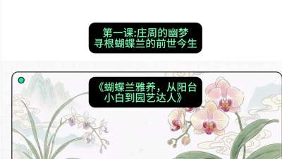 第一节：庄周的幽梦：寻根蝴蝶兰的前世今生，课程：《蝴蝶兰雅养六讲：从阳台小白到园艺达人》#识农AI