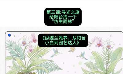 第三节：寻光之旅：给阳台找一个&ldquo;仿生雨林&rdquo;，课程：《蝴蝶兰雅养六讲：从阳台小白到园艺达人》#识农AI