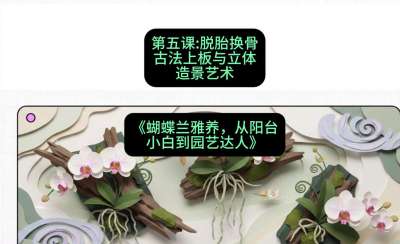 第五节：脱胎换骨：古法上板与立体造景艺术，课程：《蝴蝶兰雅养六讲：从阳台小白到园艺达人》#识农AI