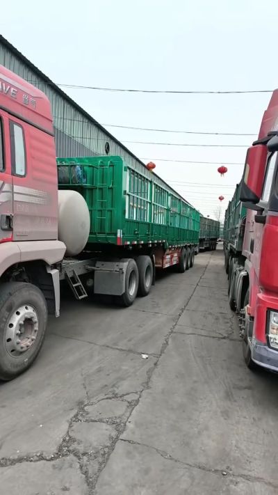 2月23号，源沃肥业排队装车中