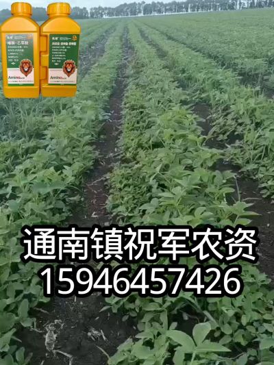 大豆苗前封闭，可封红根苋菜，灰菜，兰花菜，野豆子，捞豆秧等恶性杂草，封杀兼备的高端产品。