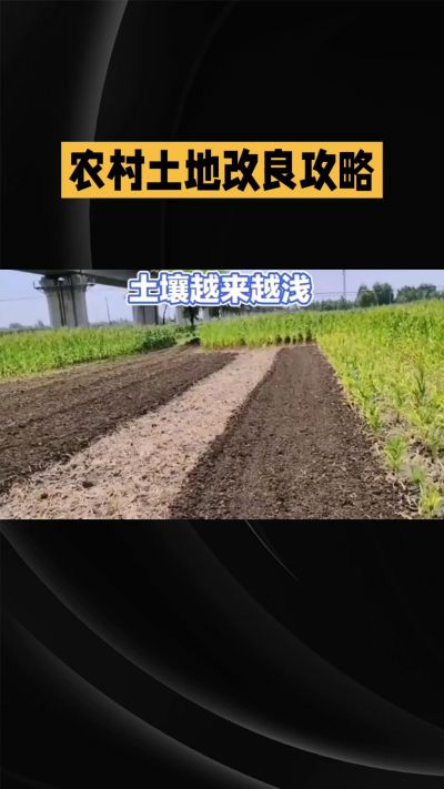 1. 先搞懂：你到底要改良哪块地、种什么
 
- 土土土在哪里？
就是你自家农田、菜地、果园，哪块地想种庄稼，就测哪块地的土。
​
- 有水没有水？
有水能浇：改良更省事，施肥、调酸碱都好操作。
没水