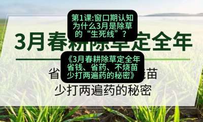 第1节：窗口期认知，为什么3月是除草的&ldquo;生死线&rdquo;？，课程：《3月春耕除草定全年：省钱、省药、不烧苗、少打两遍药的秘密》
