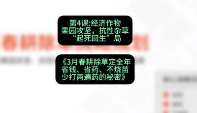 第4节：经济作物果园攻坚，抗性杂草&ldquo;起死回生&rdquo;局，课程：《3月春耕除草定全年：省钱、省药、不烧苗、少打两遍药的秘密》